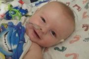wireready_03-01-2019-10-32-05_07295_babychaseton