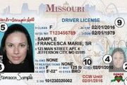 wireready_03-01-2019-20-24-02_07830_realidmissouri