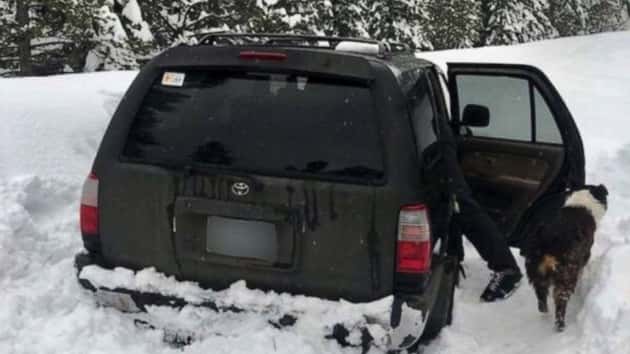 dog-truck-snow-ht-ml-190304_hpembed_2_3x4_992