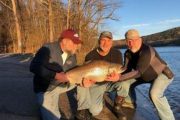 wireready_03-06-2019-10-34-01_07525_crewsbrowntrout