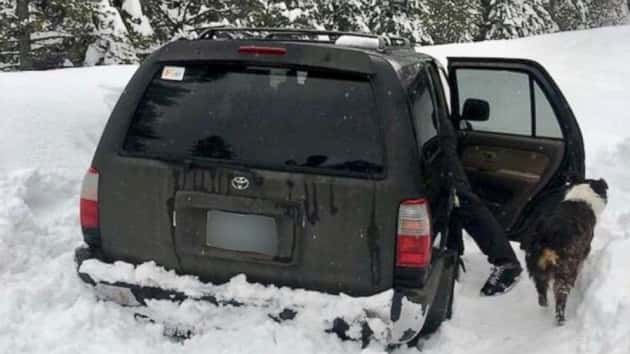 dog-truck-snow-ht-ml-190304_hpmain_16x9_992