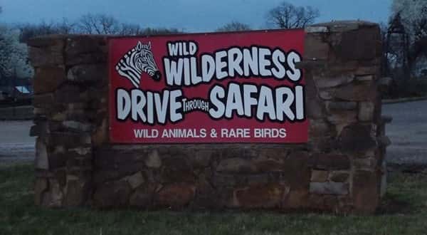wireready_03-11-2019-17-58-02_08120_wildwildernesssafari