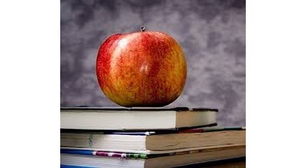 wireready_03-28-2019-21-30-02_08501_appleandbooks