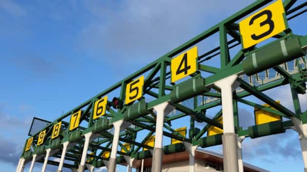 istock_32919_horserace
