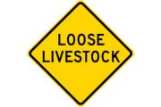 wireready_03-29-2019-17-04-01_02197_looselivestock