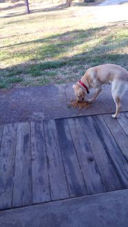 img_20190326_175556