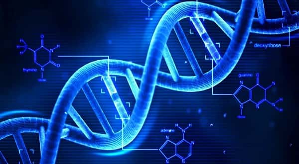 wireready_04-11-2019-19-14-02_07490_dna
