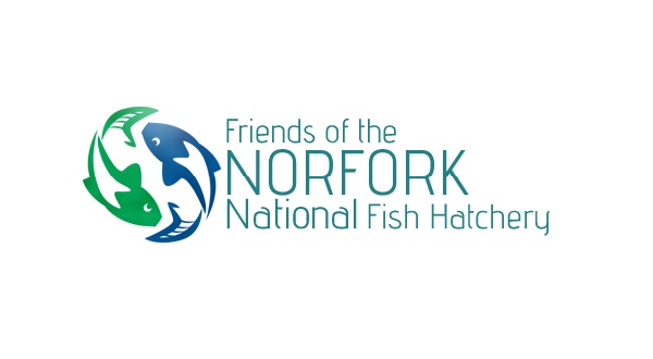 wireready_04-12-2019-09-36-02_08813_friendsofhatchery