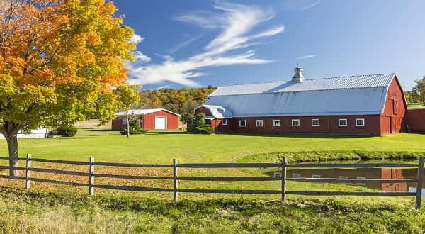 wireready_04-12-2019-16-46-02_07510_farm