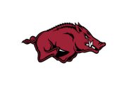 wireready_04-19-2019-09-22-06_08940_razorbacks1