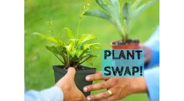 wireready_05-03-2019-10-22-06_09266_plantswap