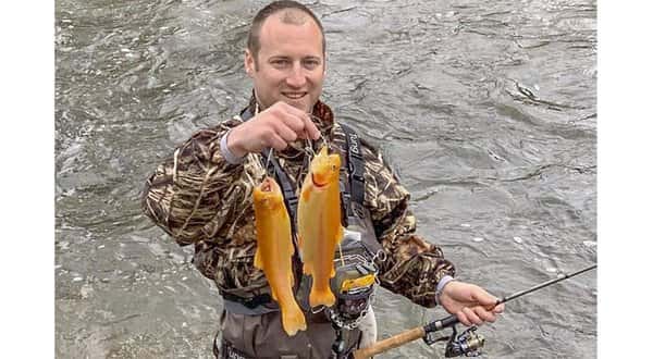 wireready_05-08-2019-18-00-04_09204_goldenrainbowtrout