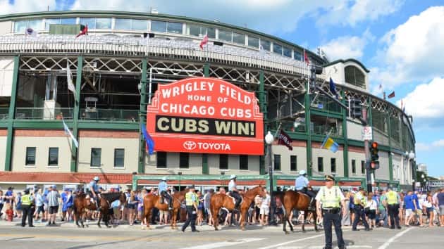 istock_51019_wrigleyfield