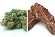 wireready_05-15-2019-20-52-03_08906_marijuanaedibles
