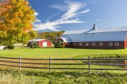 wireready_05-16-2019-21-12-03_08939_farm