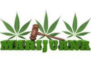 wireready_05-23-2019-18-10-03_09686_marijuanagavel