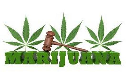 wireready_05-23-2019-18-10-03_09686_marijuanagavel