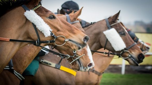 052719_istock_horseracing