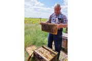 wireready_05-28-2019-09-36-06_09815_jamesrheinbeekeeper2