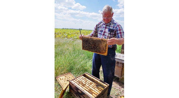 wireready_05-28-2019-09-36-06_09815_jamesrheinbeekeeper2