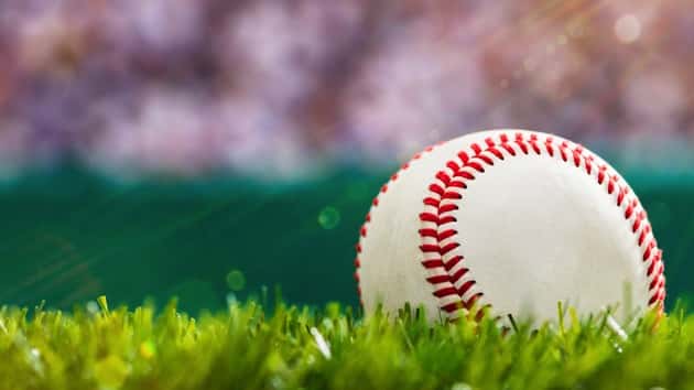 istock_052819_grizzliesaoc