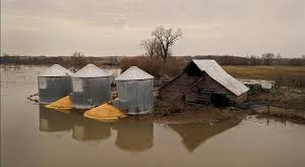 wireready_05-31-2019-16-56-03_09796_floodedfarmsland