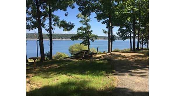 wireready_06-02-2019-16-38-02_09929_bullshoalspark