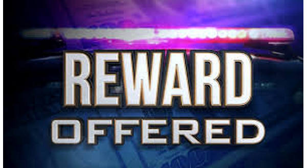 wireready_06-03-2019-20-20-03_09846_rewardoffered2