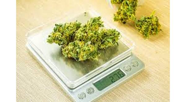 wireready_06-03-2019-21-08-03_09857_marijuanascales