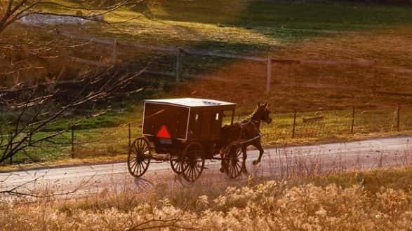 060819_istock_amishbuggy