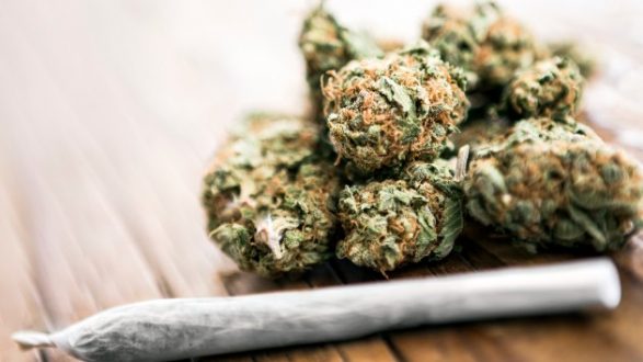 istock_62119_marijuana