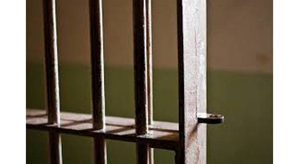 wireready_07-03-2019-18-24-03_09089_prisonbars