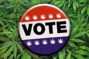 wireready_07-10-2019-22-02-03_09194_marijuanaandvotebutton