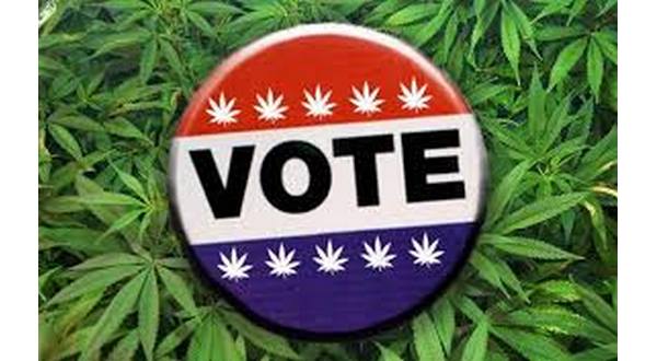 wireready_07-10-2019-22-02-03_09194_marijuanaandvotebutton