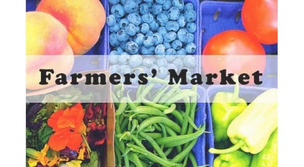 wireready_07-14-2019-16-36-02_00028_farmersmarket