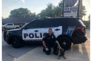 wireready_08-12-2019-09-06-05_00030_k9harmon