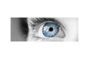 wireready_08-14-2019-16-54-02_00042_eye