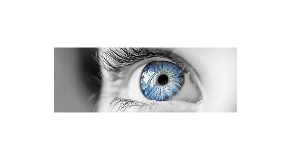 wireready_08-14-2019-16-54-02_00042_eye