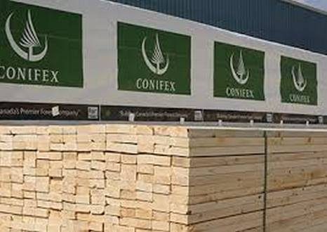 wireready_08-15-2019-18-44-03_00066_conifextimber
