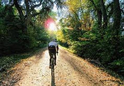 wireready_08-15-2019-19-08-03_00079_biketrail