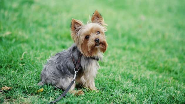 istock20anouchka