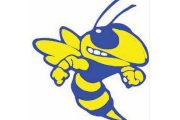 wireready_08-29-2019-08-56-04_00152_mvyellowjacket