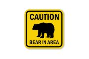 wireready_09-26-2019-09-44-02_00001_bearcaution