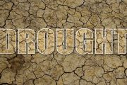 wireready_10-03-2019-15-06-03_00063_drought