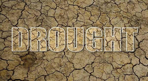 wireready_10-03-2019-15-06-03_00063_drought
