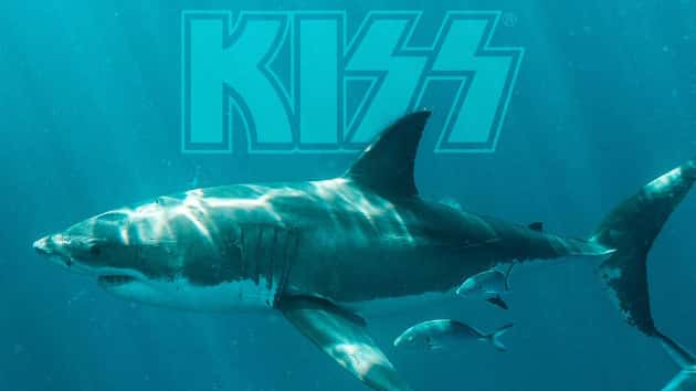 m_kissconcertforgreatwhitesharks630_100319