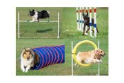 wireready_10-06-2019-11-20-03_00010_dogcourse