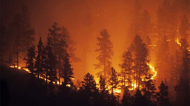 istock_100819_wildfire