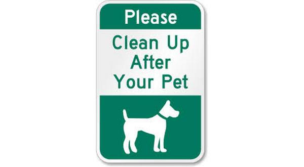 wireready_10-09-2019-21-40-03_00121_petcleanup