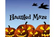 wireready_10-11-2019-09-08-06_00050_hauntedmaze